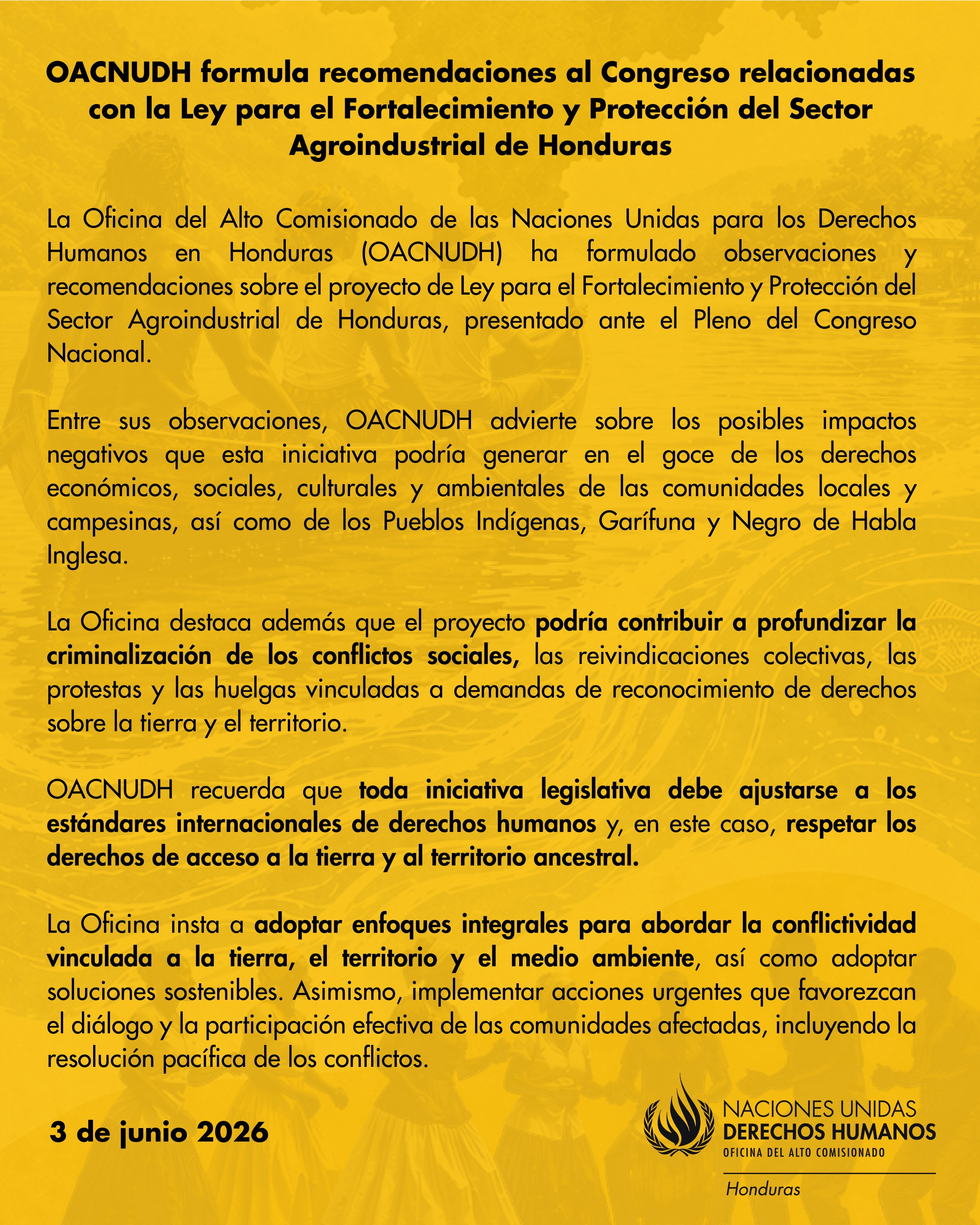 La oficina de la ONU alertó que la normativa podría profundizar la criminalización de conflictos sociales vinculados al acceso a la tierra y al territorio en Honduras.