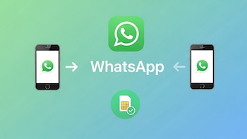 Todo lo que debes conocer