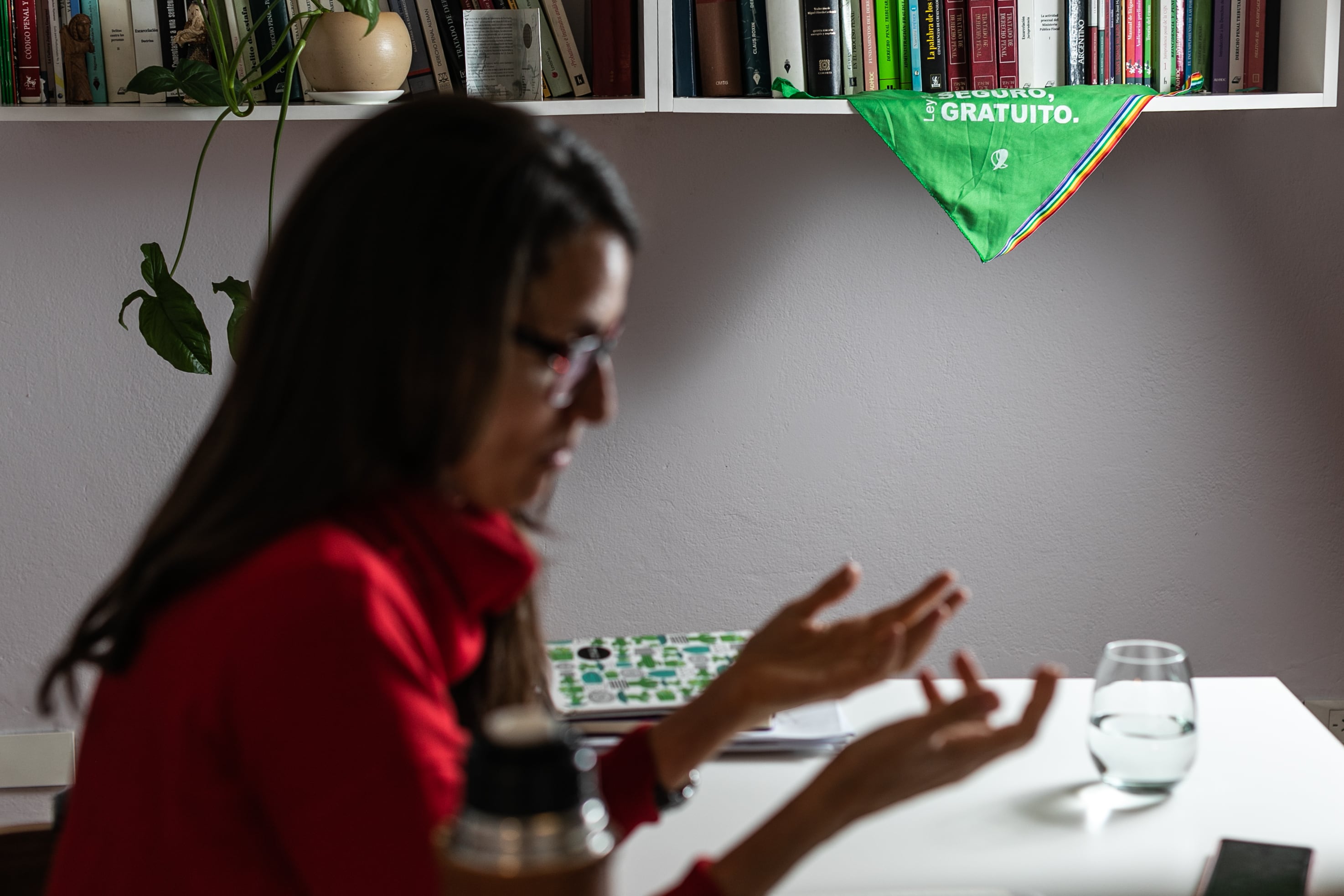 Entrevista a Elizabeth Gómez Alcorta, ex ministra de las Mujeres, Géneros y Diversidad de la Nación, para