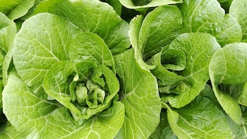 Col china, el superalimento rico