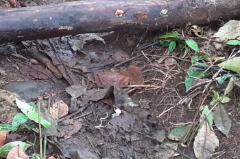 Así se ven las minas