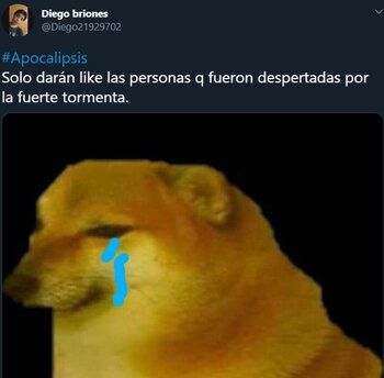 (Captura de Pantalla: Twitter @Diego21929702)