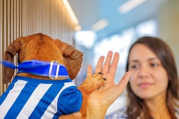 Chivo Pets fue inaugurado en febrero de 2022 como un servicio veterinario público y accesible para las mascotas de la población salvadoreña./ (Chivo Pets)