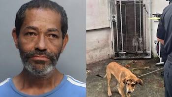 Una verificación del bienestar de una mujer mayor terminó con el rescate de 19 perros y acusan a un hombre de crueldad animal