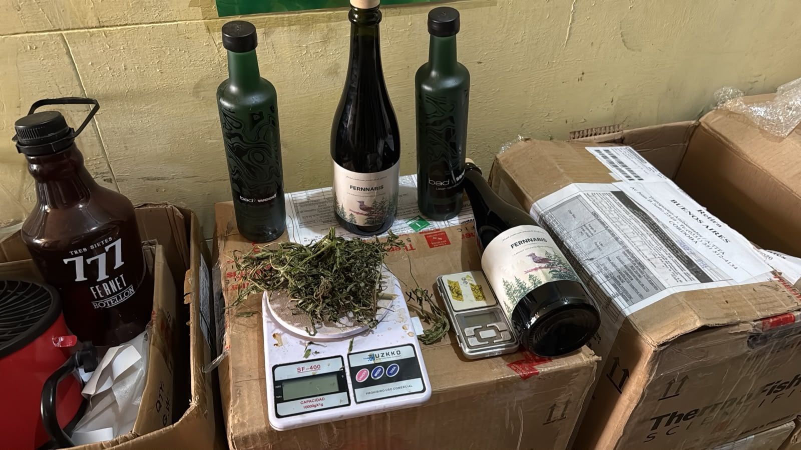 Una pericia química sobre una muestra de “FERNNABIS” dio positivo para THC y fortaleció la causa judicial en Morón