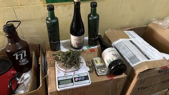 Una pericia química sobre una muestra de “FERNNABIS” dio positivo para THC y fortaleció la causa judicial en Morón