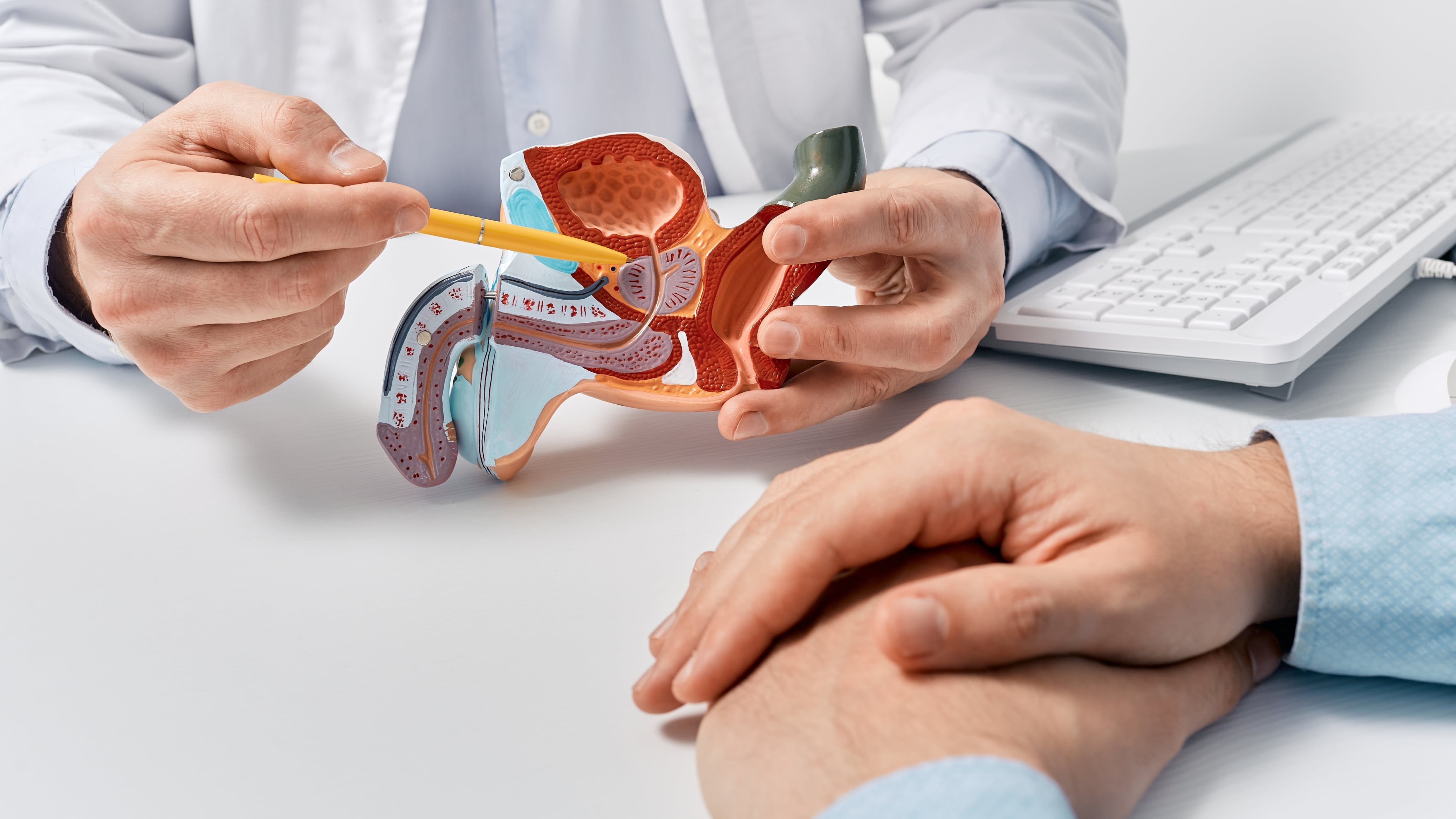 Cuidar la salud prostática mediante exámenes regulares contribuye a prolongar la calidad de vida, permitiendo diagnósticos más tempranos y tratamientos eficaces en caso de detectar alguna anomalía. -(Imagen Ilustrativa Infobae)
