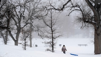Estos estados de EEUU podrían