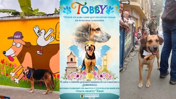 Así despidieron en Samaniego, Nariño a Tobby, un perro callejero que se convirtió en símbolo del pueblo