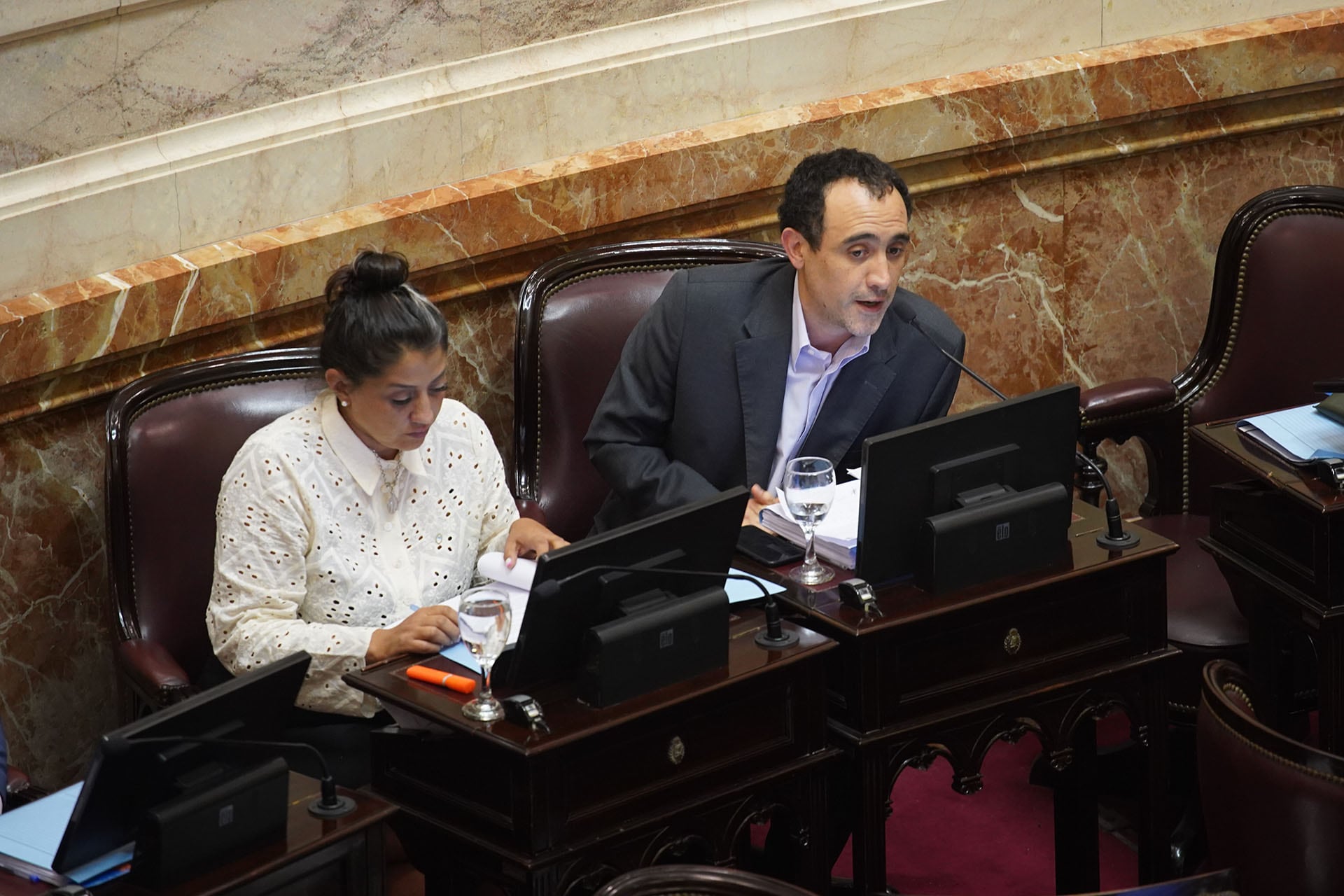 Los santacruceños José María Carambia y Natalia Gadano rechazaron junto al kirchnerismo -enemigos en su provincia- la reforma laboral (RS Fotos)