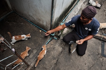 El método TNVR controla la