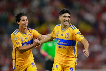 Nicolás Ibañez de Tigres celebra