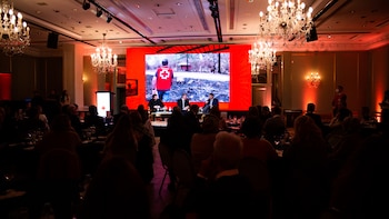 Está trabajando en la creación