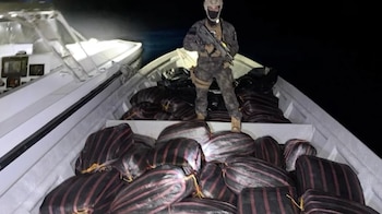 Paquetes de marihuana viajaban en