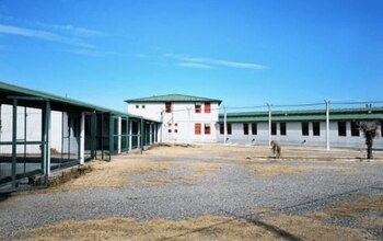 La banda narco era liderada