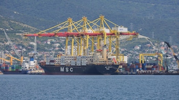 R.Unido cree que el ataque