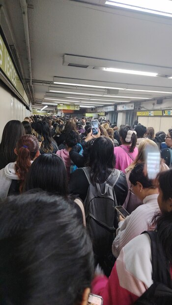 Avance en tiempo real de