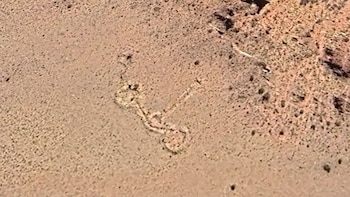 ¿Un geoglifo ancestral en Mendoza? Qué dicen los arqueólogos sobre el misterioso hallazgo que podría estar vinculado a rituales prehispánicos