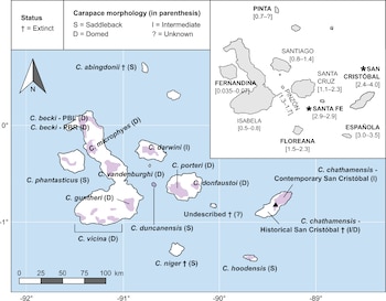 Mapa geográfico de las islas Galápagos con nombres científicos de tortugas, claves sobre la forma de su caparazón y un recuadro secundario