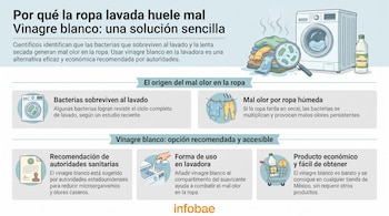 Lavadora, pila de ropa con líneas onduladas, lupa con bacterias, botella de vinagre, ropa secándose, documento, mano virtiendo vinagre, carro de compras con productos.