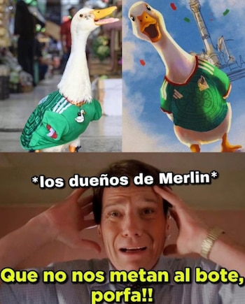 memes Pato Merlín