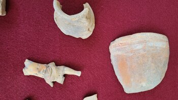 Los 29 objetos demuestran una