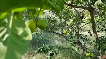 Luz, bombera voluntaria y dueña de un eco-glamping en las sierras de Córdoba: “Cualquier paso pequeño para cambiar es parte del camino”