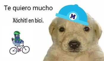 Comenzaron a circular imágenes del