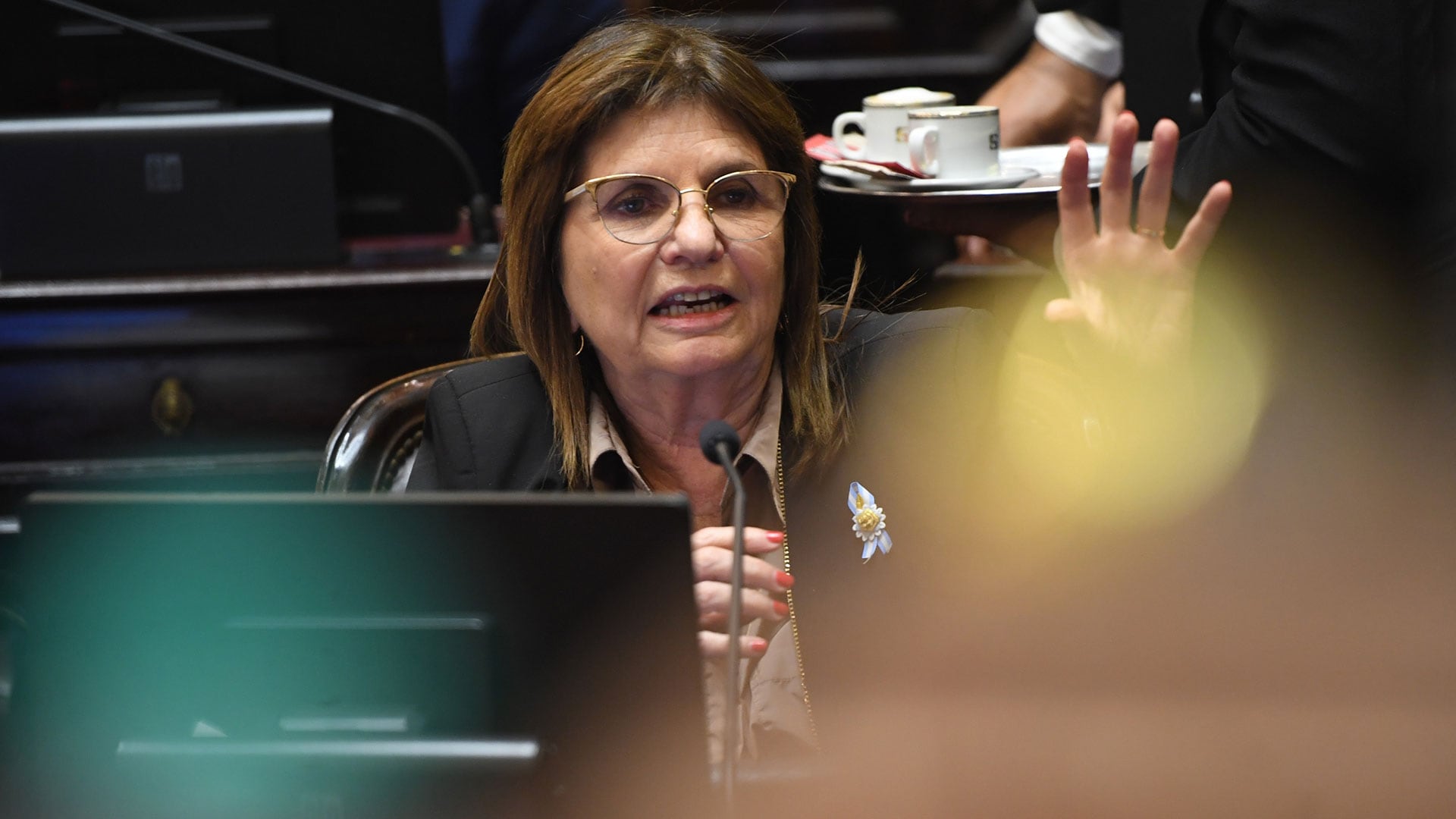 Patricia Bullrich habla durante la votación de la Reforma de la Carta Orgánica del Banco Central (Foto: Luciano Ingaramo / Comunicación Institucional Senado)