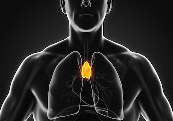 A pesar de su pequeño