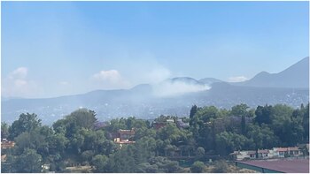 Vecinos reportaron el incidente en