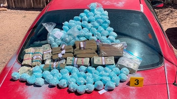 En total, se incautaron 396