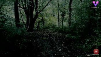 16/10/2020 Un cazador de fantasmas afirma haber visto a 'la niña fantasma de ojos negros' en el bosque de Cannock Chase, Inglaterra.
MADRID, 16 oct. (EDIZIONES) Cuenta la leyenda que un espectro conocido como 'la niña fantasma de ojos negros' se aparece en el bosque de Cannock Chase, un distrito no metropolitano del condado de Staffordshire, Inglaterra.
SOCIEDAD
YOUTUBE/VIDELO