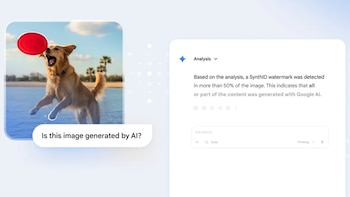 Los usuarios pueden cargar imágenes