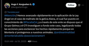 La felina perdió un ojo