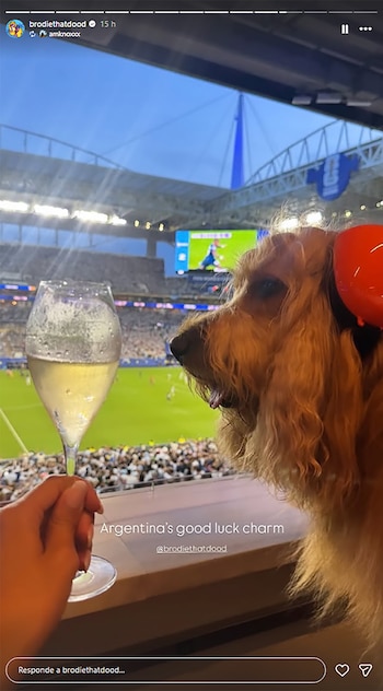 Perro de pelaje dorado con globo rojo, mano de persona, copa con líquido burbujeante, estadio de fútbol, campo verde, público y pantalla gigante