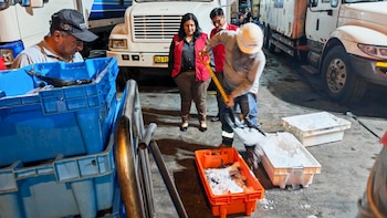 Inabif recibe más de tres toneladas de pescado para programas de alimentación infantil. (Foto: MIMP)