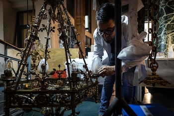 Las arañas son algunos de