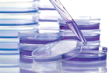 En 2020 la investigación para