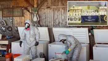 La incautación de metanfetamina cristalina