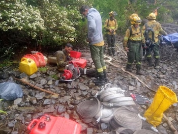 Más de 300 brigadistas y