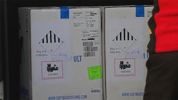 Llegaron a Chile las primeras