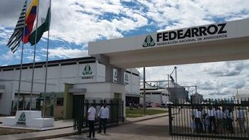 La Federación Nacional de Arroceros