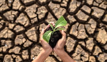 Día Mundial de Lucha contra la Desertificación y la Sequía - Desertificación y la Sequía – Perú – noticias – 17 junio