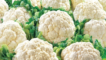 Además de sus nutrientes, la