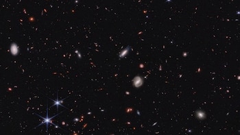 Expertos debaten sobre cómo evitar