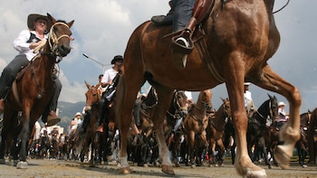 Murió un caballo en plena cabalgata en las ferias de Villanueva, Santander: esto dijo la alcaldía