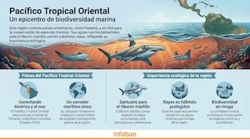 Infografía del Pacífico Tropical Oriental. Muestra mapa de América, tiburones martillo, rayas, corales submarinos y texto sobre biodiversidad y países como Panamá.