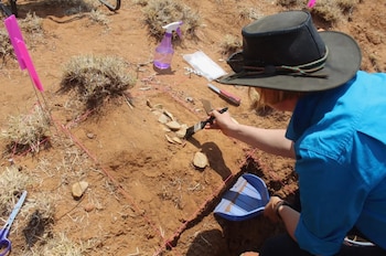 El hallazgo de las 60