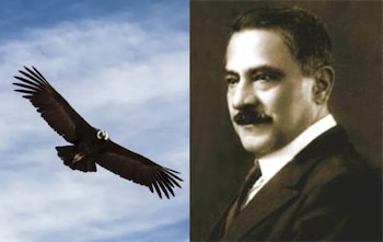 El cóndor pasa. (Captura)